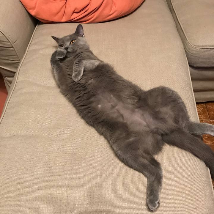 422243f5 37a3 408d b48b 7f963fd0d0ba