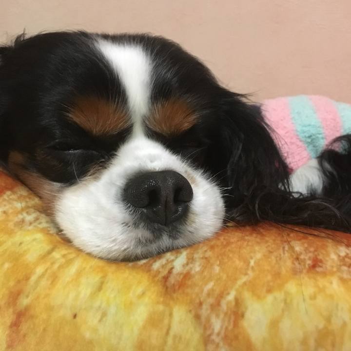 42227bbb 4171 4832 a360 6e63d035fe15