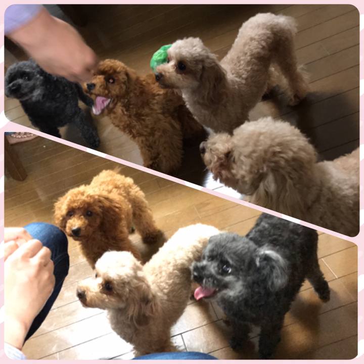 4224088b 8151 4707 bf3b 772416ca7cdc