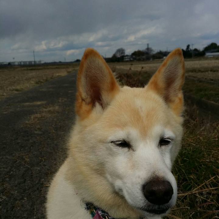 42244c8b cdb7 453f b6ee 338a772b3e2a