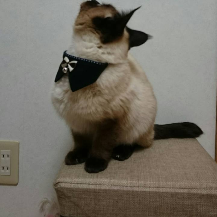 4224b67b 0b4d 430c aab5 b9256ee0b6a1