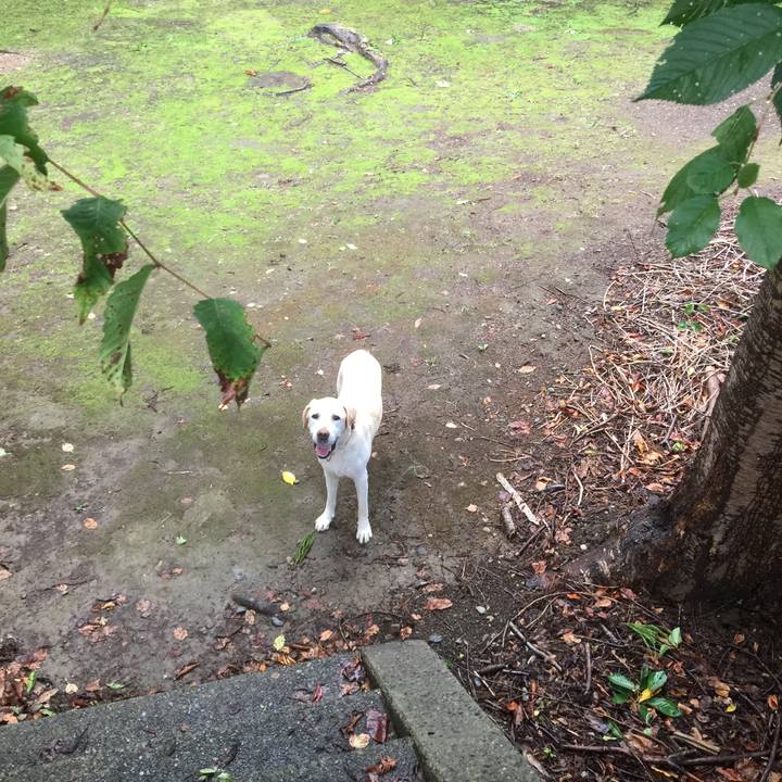 4224cf7d b392 4dfa 855a 2e34bd0945af