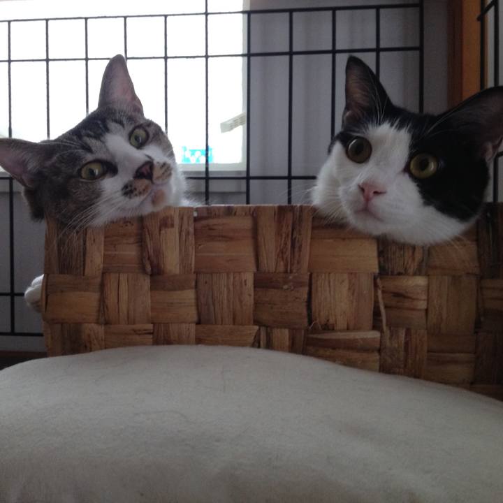 4225c389 836e 4af4 accc be5a72ae9741