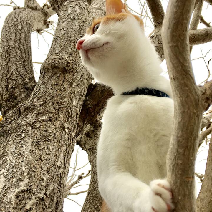 4225cd0b 0be5 4c0c 8cf7 df4ff30da889