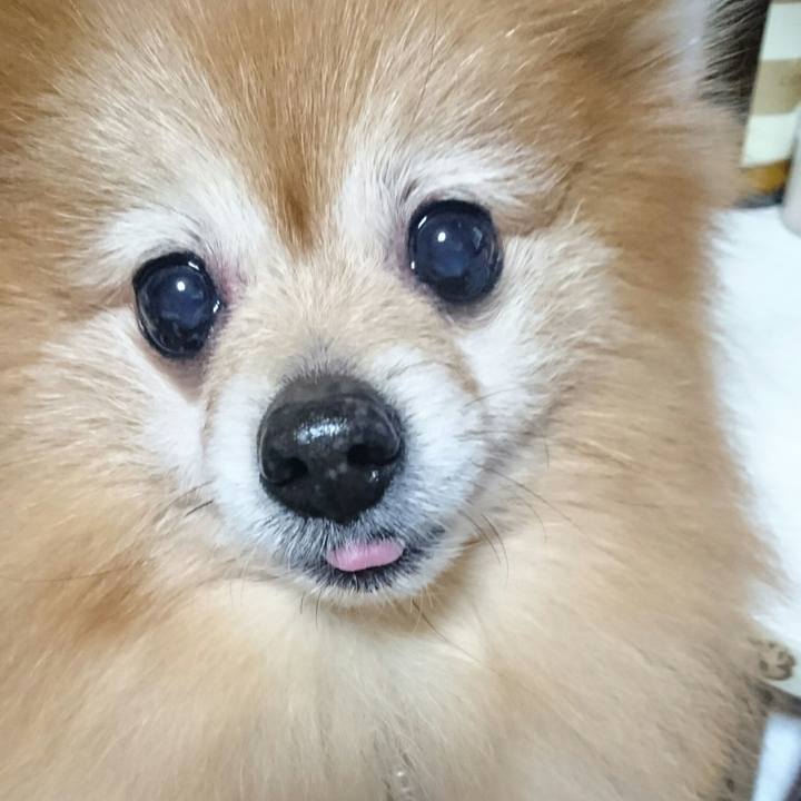 4225ea87 aa2b 4c03 ad48 9991b3e73ec5