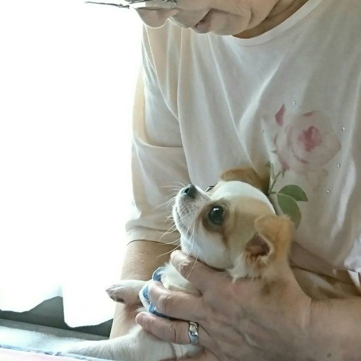 42263822 95a4 4af1 a677 35cb05e031f9