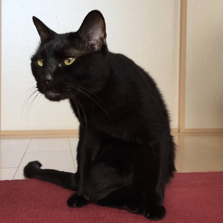 422640fe d673 474a a067 9b98627a9d74