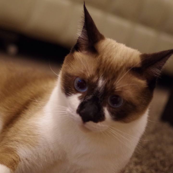 4226696b 0614 429a a334 73d605c75b06