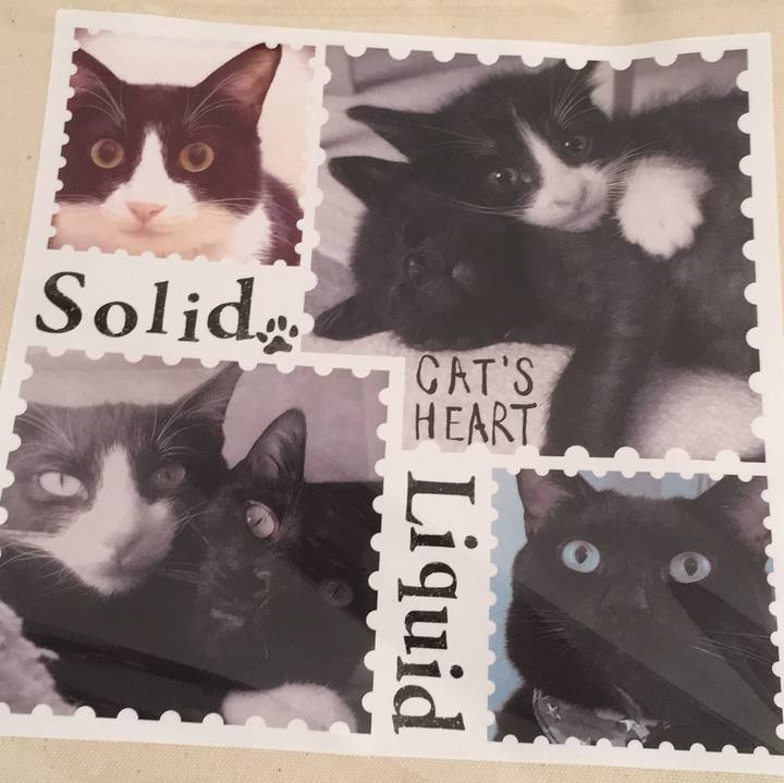 422696b7 5ea9 4510 8672 f52077c27781