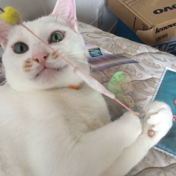 4226bb78 5671 405e 91cd 2361354d041b