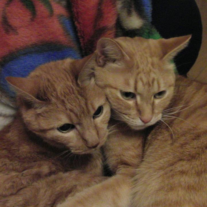 422758d7 e0a6 4036 a436 538e1f5e3db6