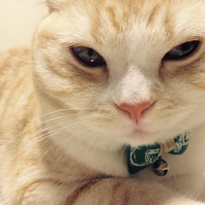 4227a7eb ad86 4797 9132 69727bb40106