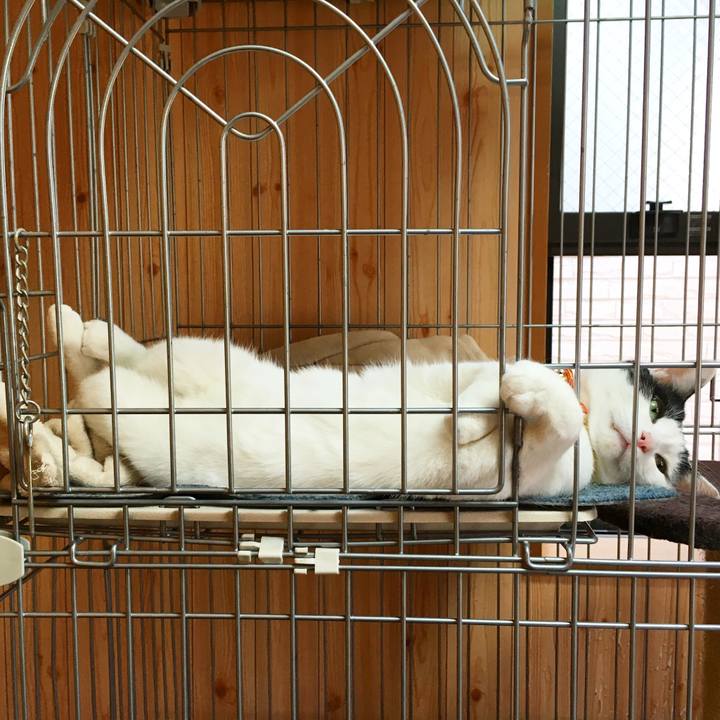 4227bae4 5dc8 4951 8e92 0948a134ad5e