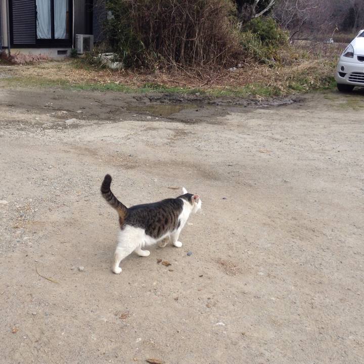 4227f543 4ed7 447f 9b46 c9424ffcf93e