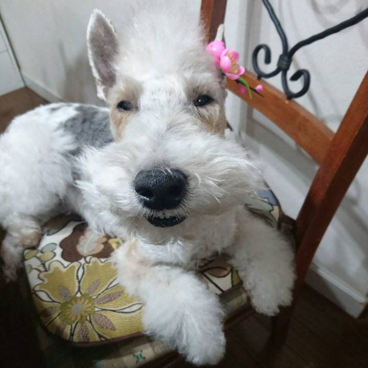 4227fb62 283a 46e0 a3bc 4f3a60dfb07f