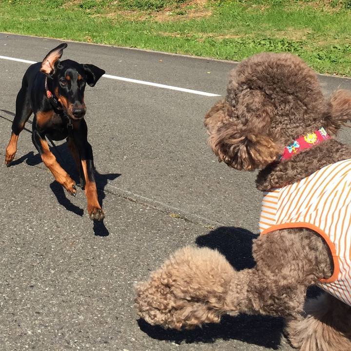 422a4800 b999 4a99 97bf 3462573865ec