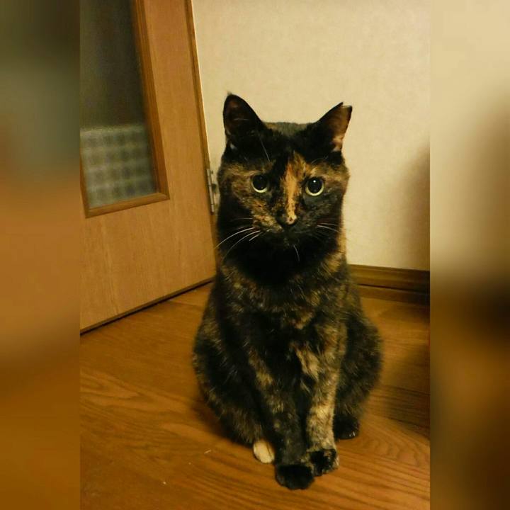 422a6090 565d 404d 90ca fb61df26cc68