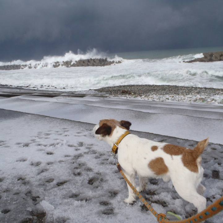 422a871d 3d41 4781 95b3 5fe632abe1d1