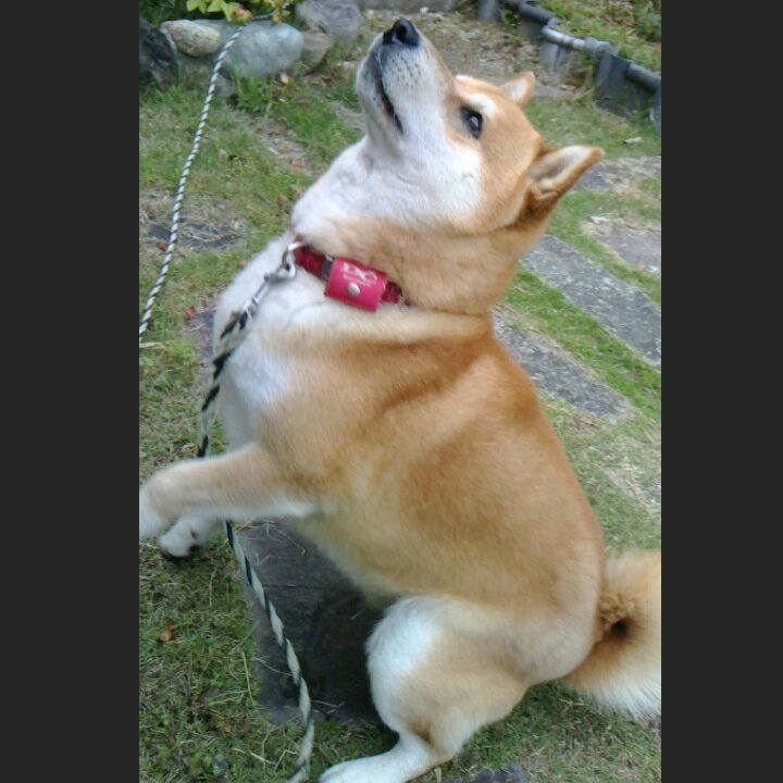 422a8cae d158 41eb 85d5 c10b5b573153