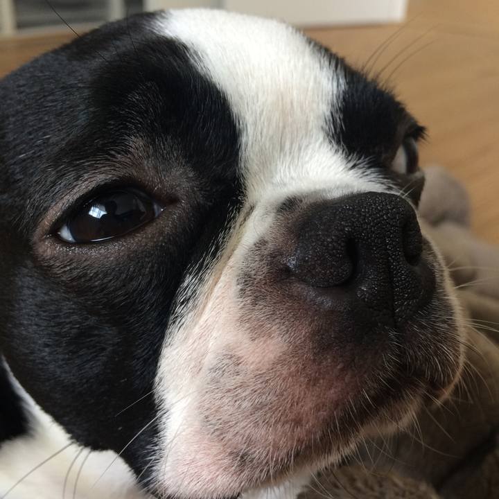 422aa4bf 3176 4394 8d69 570b60f81a9a