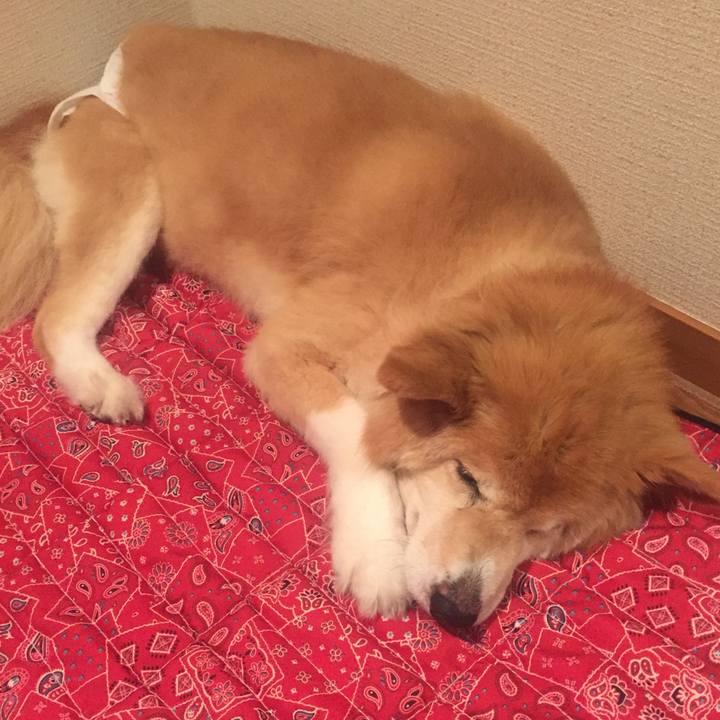 422ae9bc e6c0 42f5 a059 65c9e78d1071