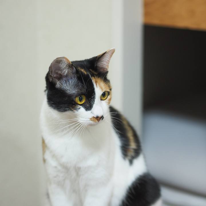 422b4216 48e8 436c 9326 dc41262ec5f3