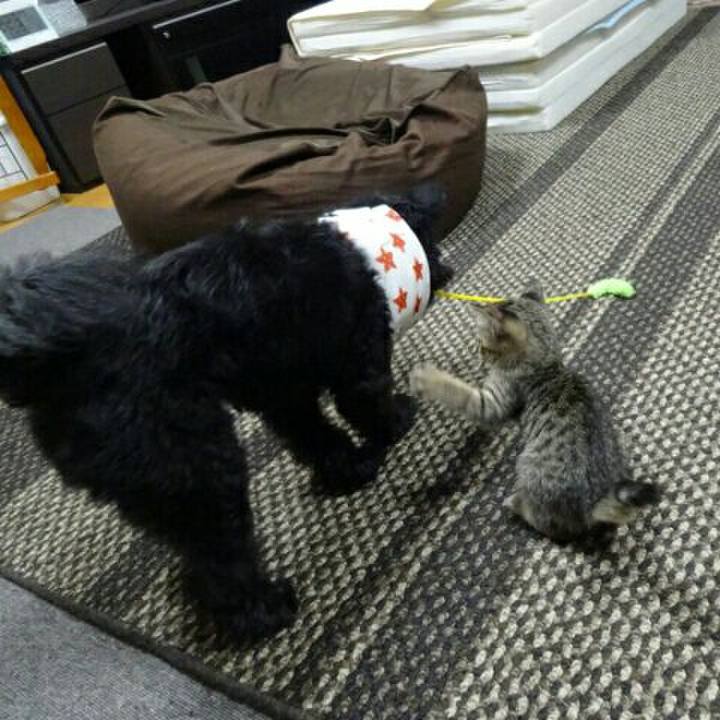 422b7421 c0a9 471e a171 b9777c32aaa8