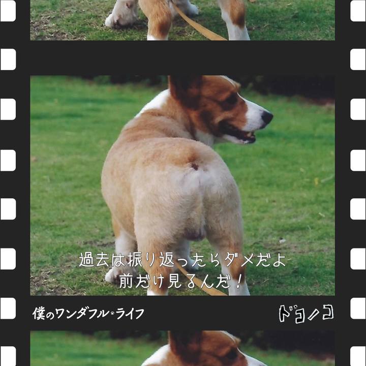 422bbbaa dd6c 4bbf 8491 1c55dd778cfc