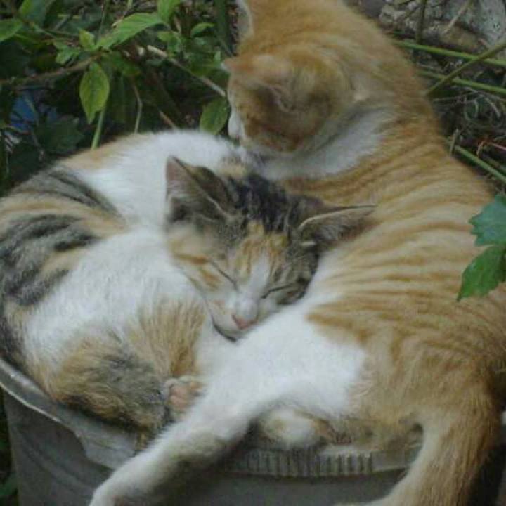 422bdfe9 bd6e 4a78 bfeb cf6e2d6cafbf