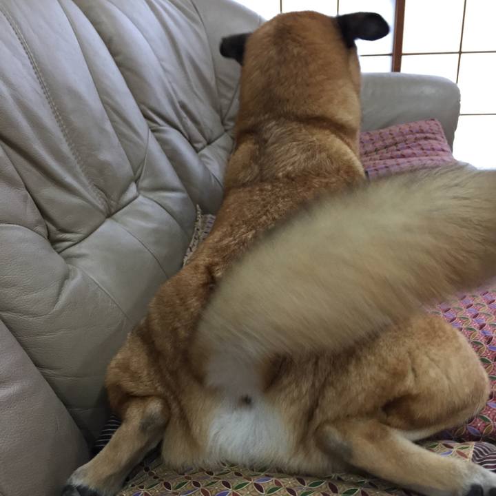 422c2e60 f759 4c97 896a 7d1fc0801b2a