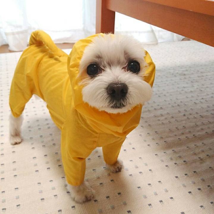 422c3553 773a 46d8 94f6 bc5b2821aecc