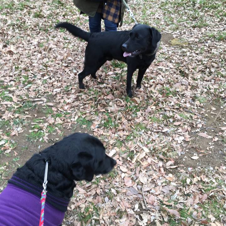 422c49cc e88c 443b 9e33 8ac0b8bdd7f1