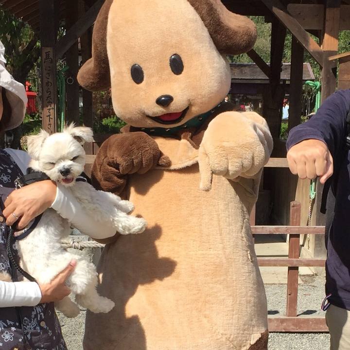 422c87ab 3fa1 4633 9b58 d27d73f0505c