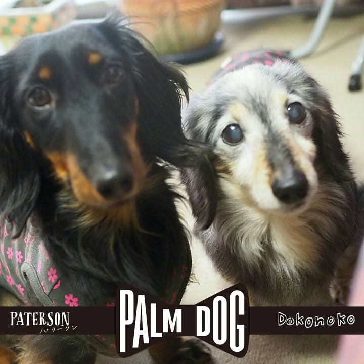 422ca7cb 7cdb 4211 b8d4 3be3af359462