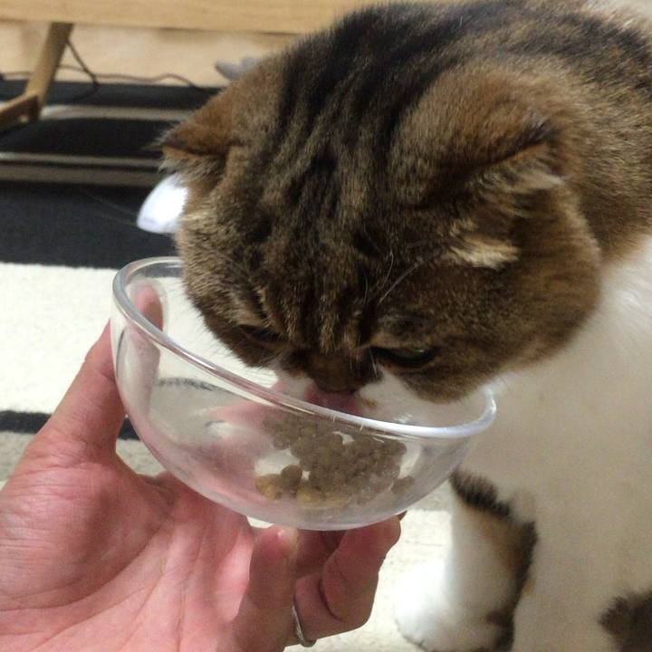 422d0a50 848a 462d a76e 5b4f917bc944