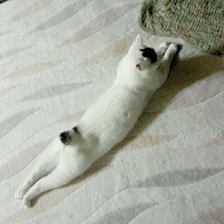 422d370f 0a1b 4303 a7b2 6ab9031a87bf