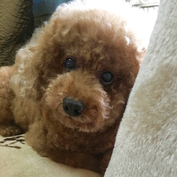 422d77ef aa22 4e27 8a47 718e33e39651