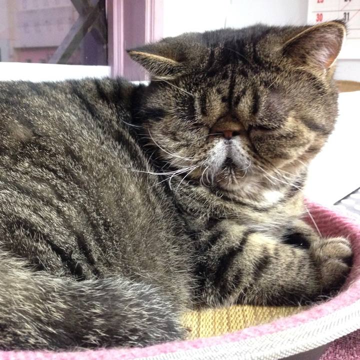 422d821a b762 4fa6 8161 ccfe8a6ca8aa