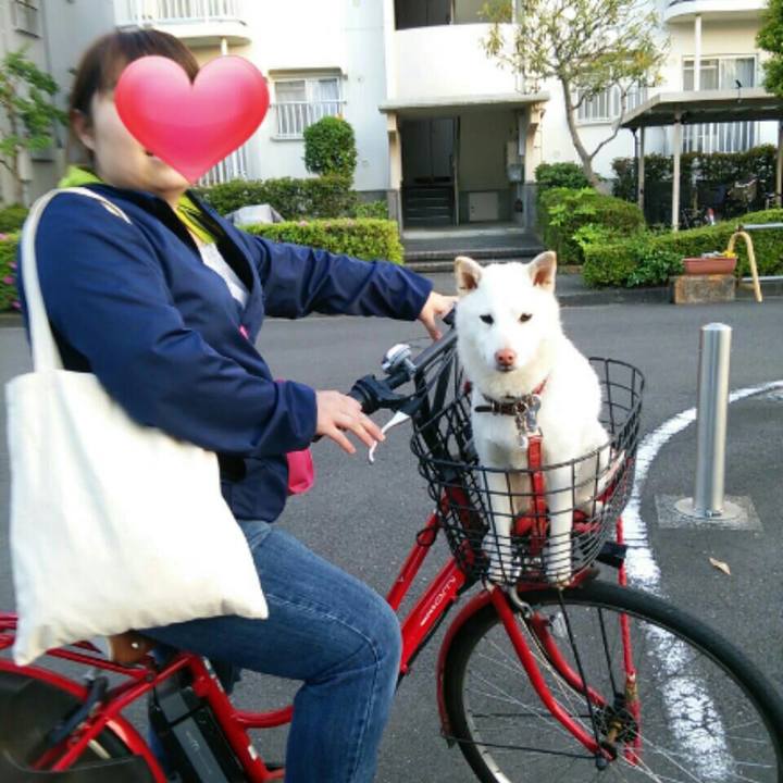 422e76ff c2d8 40ad 8155 31efa2338270