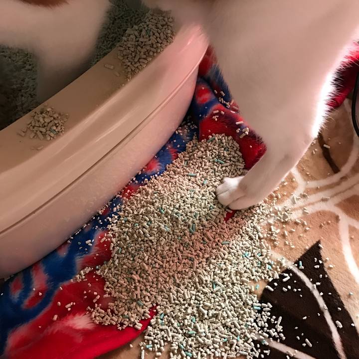 422f05eb 7323 463d 879f 886ea2b9b80e