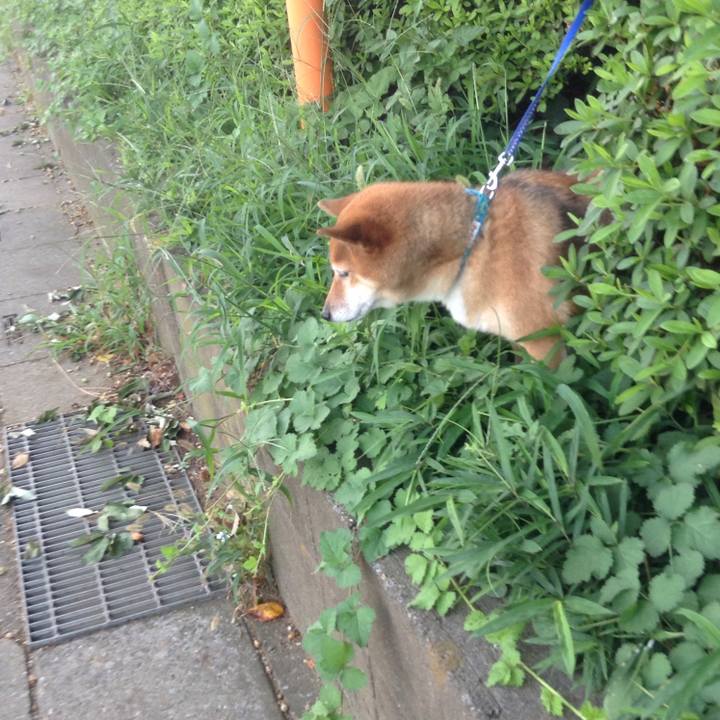 422fc678 58e1 43a8 9568 2e239dd4a500