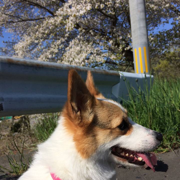 4231498e eb83 430e ad59 846b478b7ce5