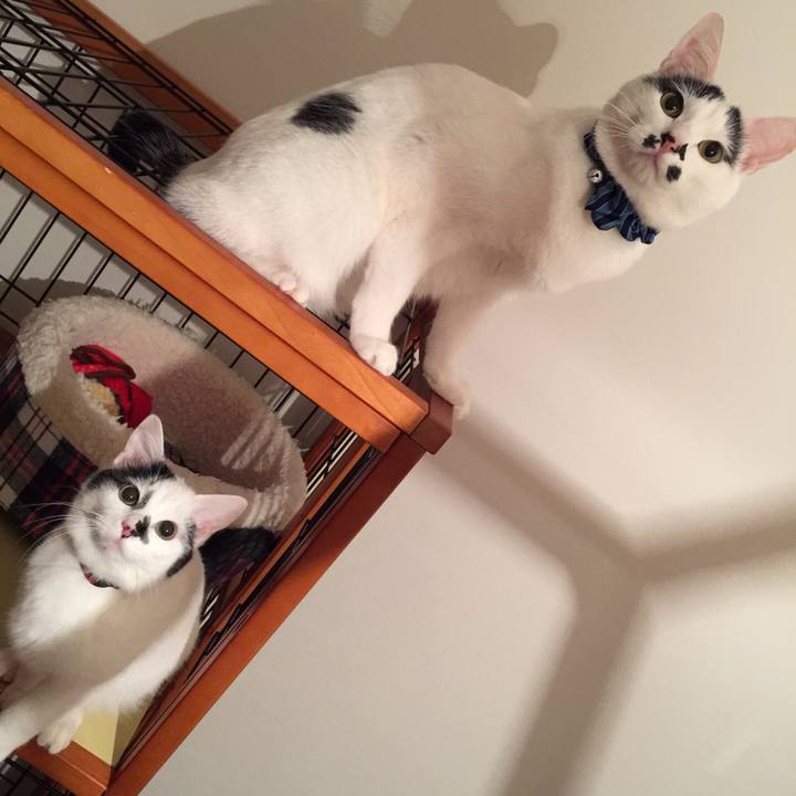 42317ee9 82e5 4816 9098 a8215655dbc5