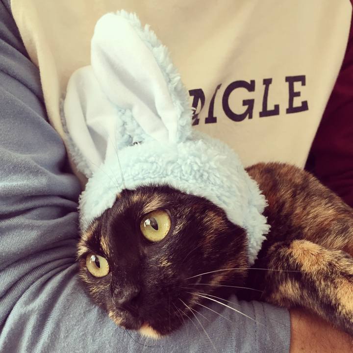 42319a14 aabc 4de1 92e4 5952ec33f129