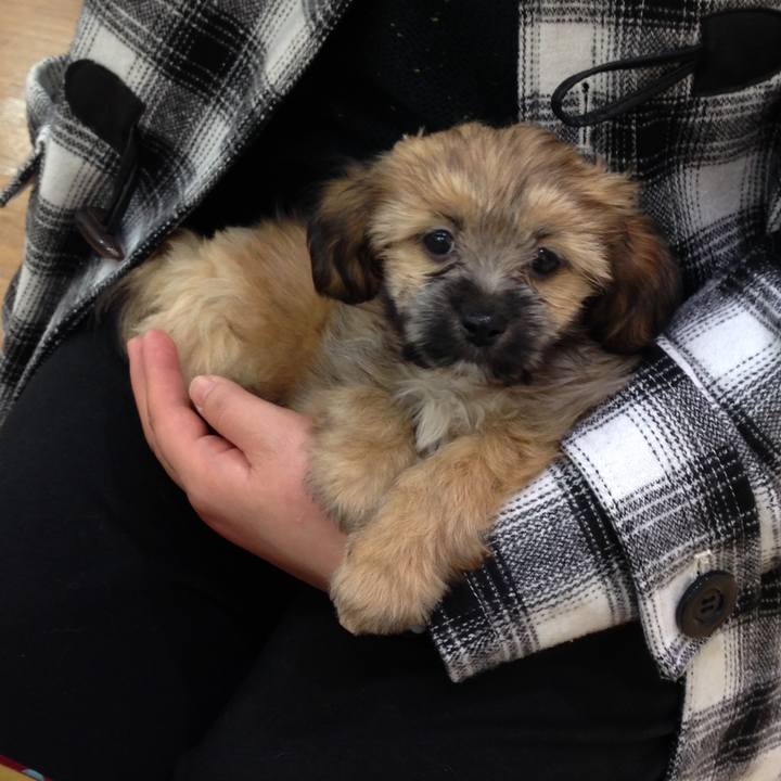 4231a94a ae08 465c b36d 2823235bd947