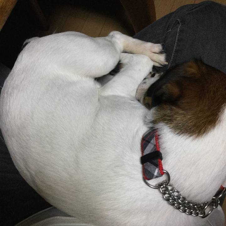 4231aa00 1dd3 4a46 aaed 2451ff35844c