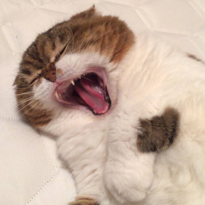 42334944 373f 48a0 a3ef 15df4f8c70e4