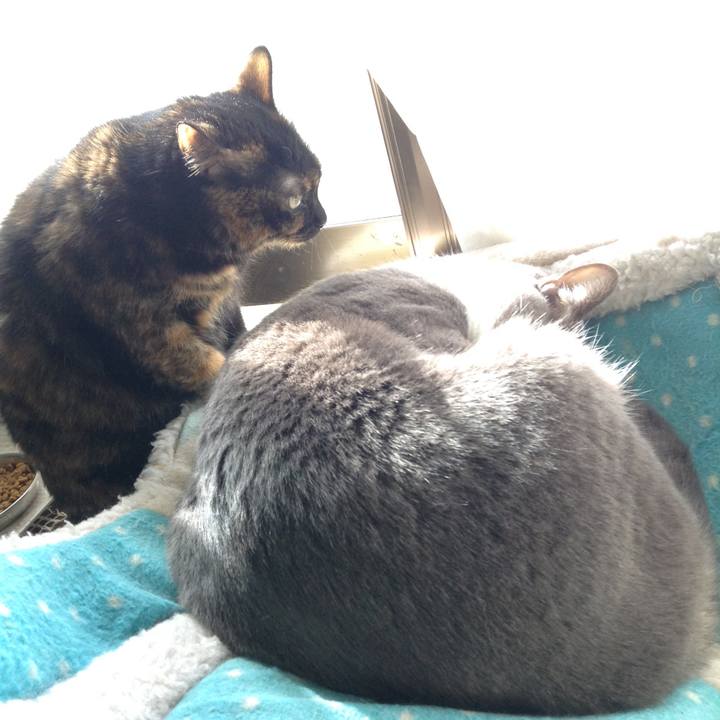 42338da3 e5df 48f6 b70c 3b9b52a942b7