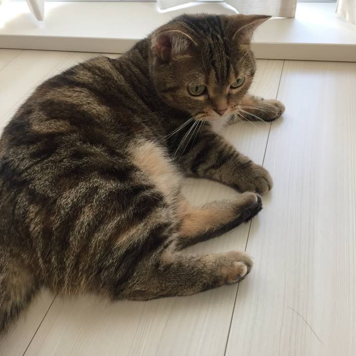 42339c0e 6616 4cef 99b1 5e8928a899f1