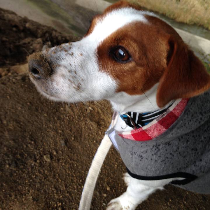 4234ad2e 836e 4130 95ac 15a567822b8e